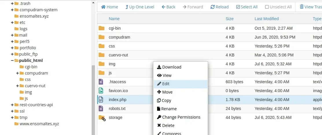 Ejemplo del menú para editar un archivo dentro de cPanel
